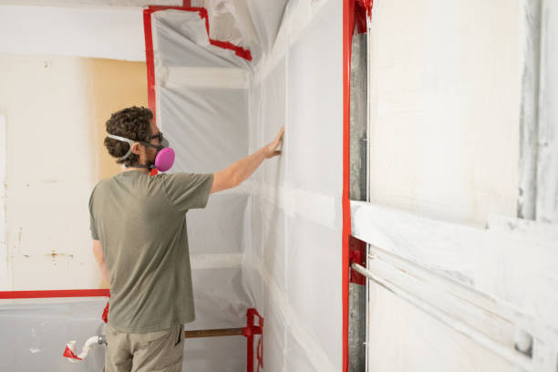 Best Black Mold Removal  in Holdrege, NE