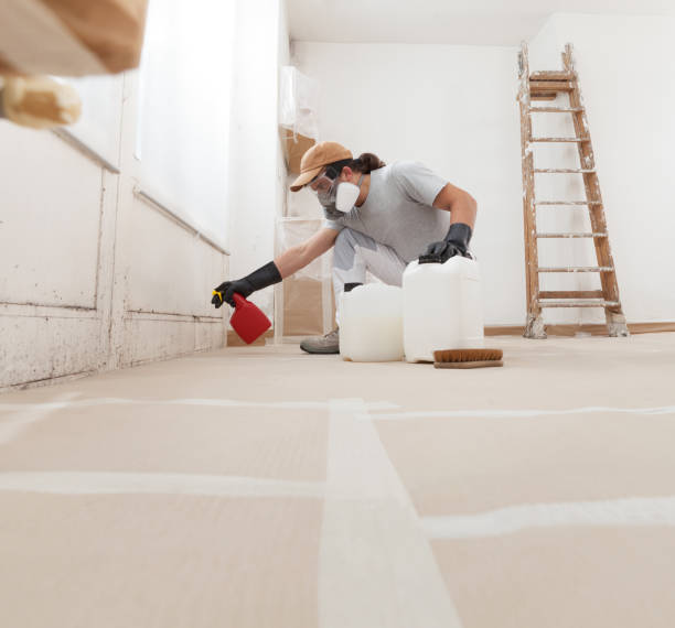 Dehumidification Services in Holdrege, NE